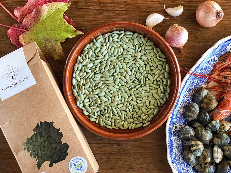 Las legumbres: ingredientes de toda la vida que están de moda 4 madeinspain gourmet despensadujo 2A