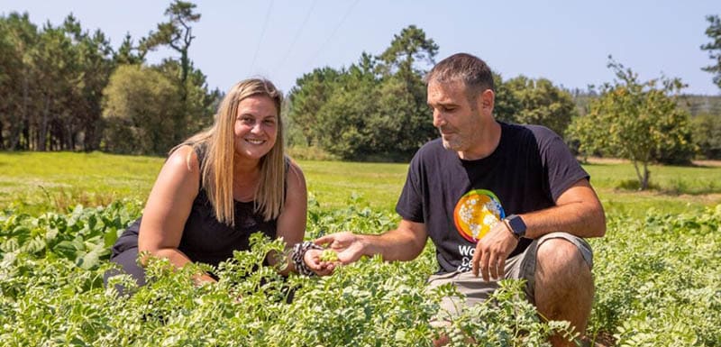 Las legumbres: ingredientes de toda la vida que están de moda 8 madeinspain gourmet despensadujo final