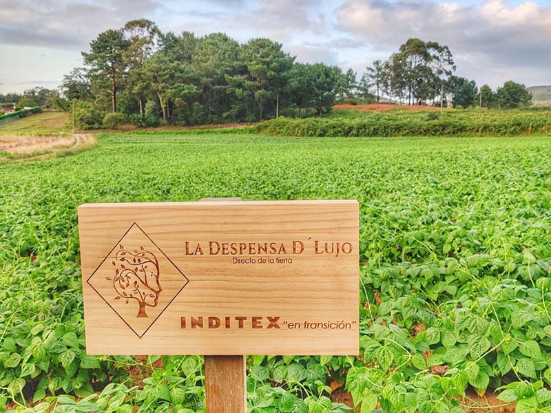 Las legumbres: ingredientes de toda la vida que están de moda 1 Las legumbres: ingredientes de toda la vida que están de moda