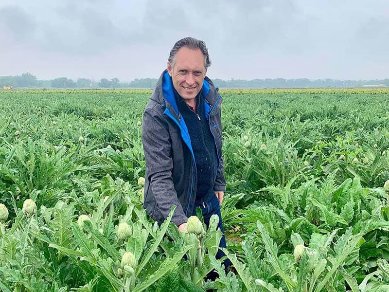 La alcachofa española: un manjar de temporada disponible en Made in Gourmet todo el año 7 madeinspaingourmet alcachofa senra 3B