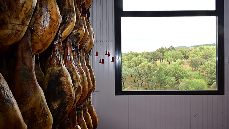 Jamones Juan Pedro Domecq, un ibérico con mucha historia 3 madeinspain gourmet pedro domecq 1B